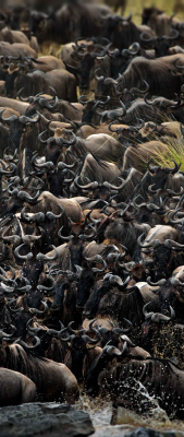 PKPhotography Gallery 13 e1750942328519