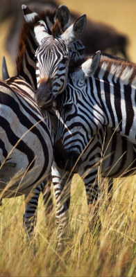 PKPhotography Gallery 2 e1750941798361