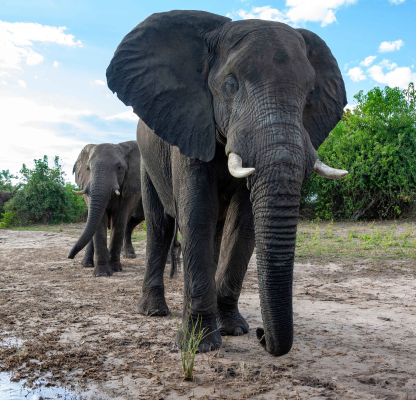 PKPhotography Gallery 5